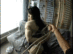 ADV-R0134_0003.gif