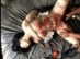ADV-R0134_0008.gif