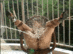 ADV-R0134_0010.gif