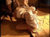 ADV-R0135_0007.gif