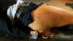 ATHB-30_0010.gif