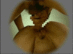FAD1400_0004.gif