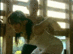 FAX-261_0007.gif