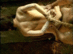 FAX-261_0008.gif