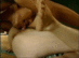 FAX-261_0012.gif