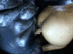 GXXD-44_0017.gif