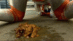 JDSD-15_0017.gif