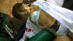 PAED-04G_0008.gif