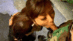 PITB-02_0012.gif