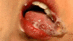 PITB-02_0017.gif