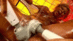 TYOD-091_0012.gif
