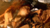 TZZ-37_0005.gif