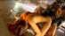 TZZ-37_0007.gif