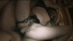 VGD-066_0010.gif