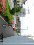 01_070804.gif